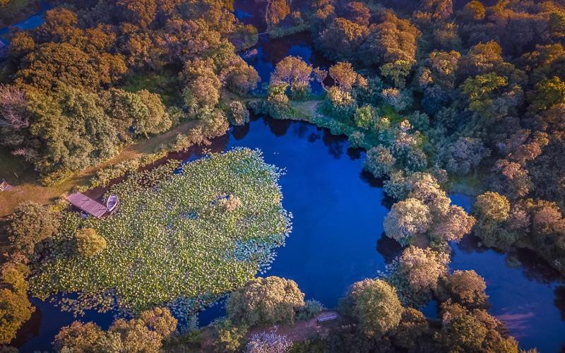 Trecombe Lakes Camborne Exterior foto