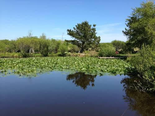 Trecombe Lakes Camborne Exterior foto